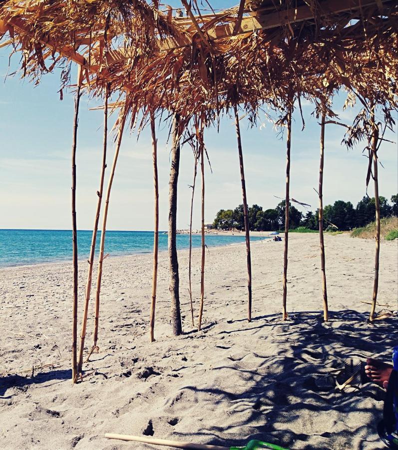 B&B Nonnotano Nocera Terinese Εξωτερικό φωτογραφία